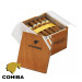 Charuto Cohiba robustos foz do iguaçu