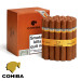 Charuto Cohiba siglo VI foz do iguaçu