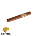 Charuto Cohiba siglo II foz do iguaçu